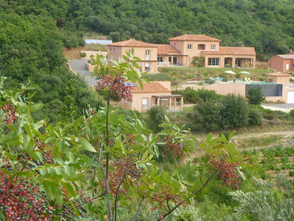 Saint-Jean-de-la-Blaquiere Domaine De Flo Adult A Partir De 16 Ans B&B 외부 사진